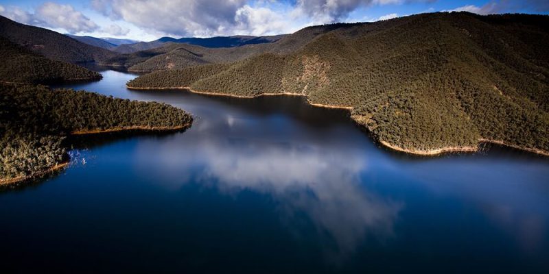 Australias Snowy Mountains Scheme regeneration project