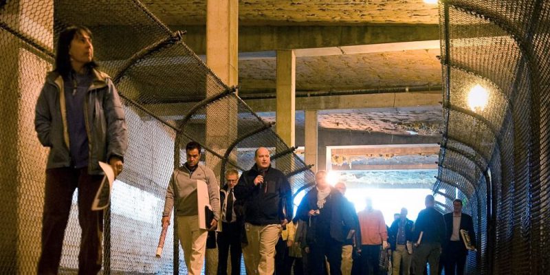 purple line trail tunnel bethesda