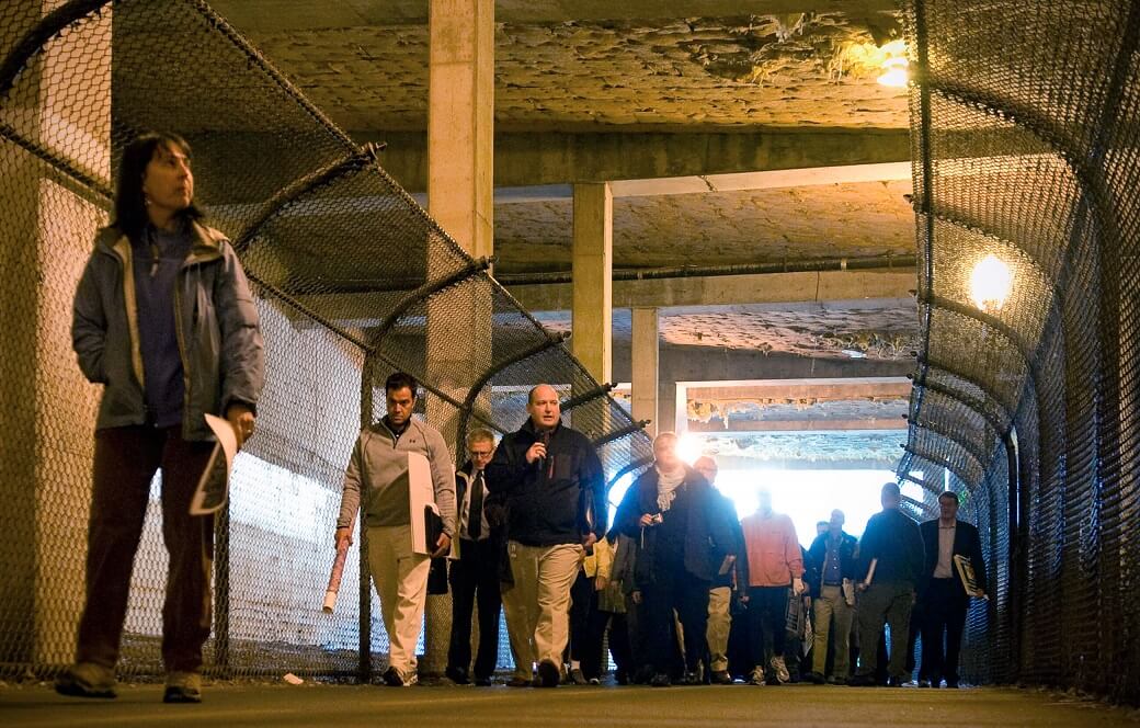 purple line trail tunnel bethesda