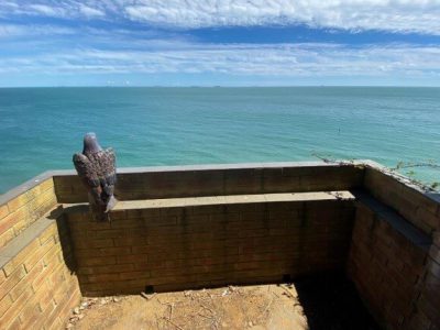 Lookout Point on Cliffs Above Sandown Bay